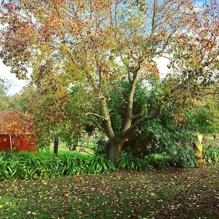 Kellers Bed And Breakfast Perth Bed & Breakfast